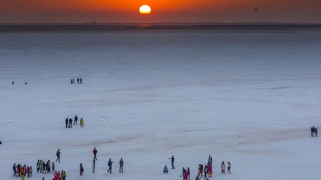 Rann Of Kutch
best places to visit in Gujarat in summer