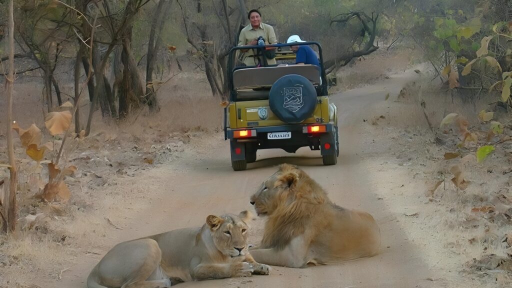 10 best places to visit in Gujarat in summer